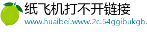 纸飞机打不开链接